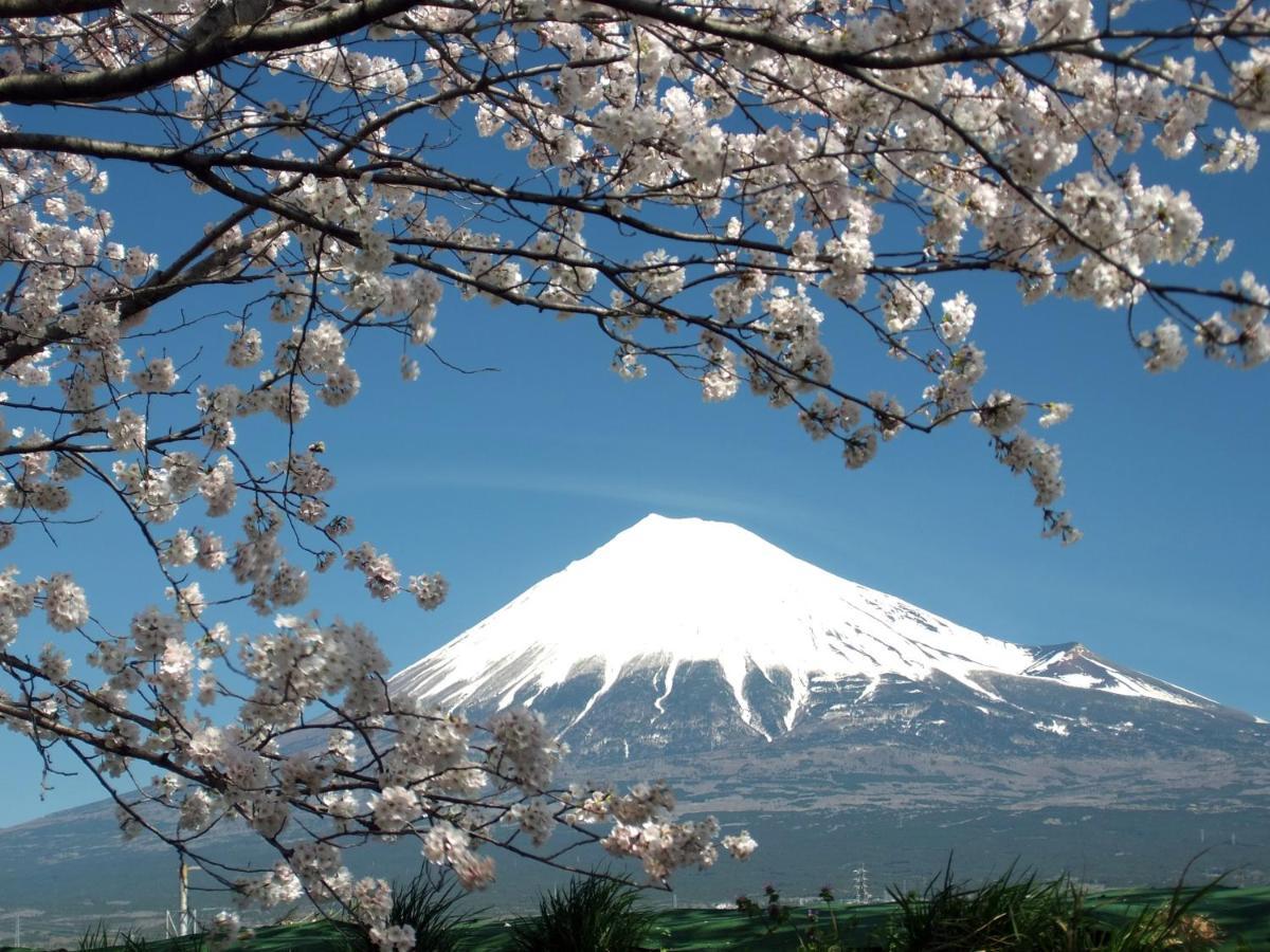 Fuji-Shi Business Hotel Furuiya Ryokan Fudżi Zewnętrze zdjęcie